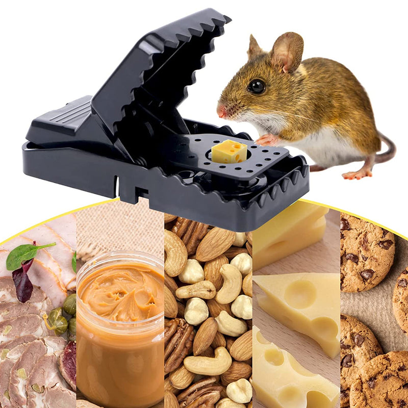 Professional Manual Mouse Trap Traditional Rodent Catcher_8