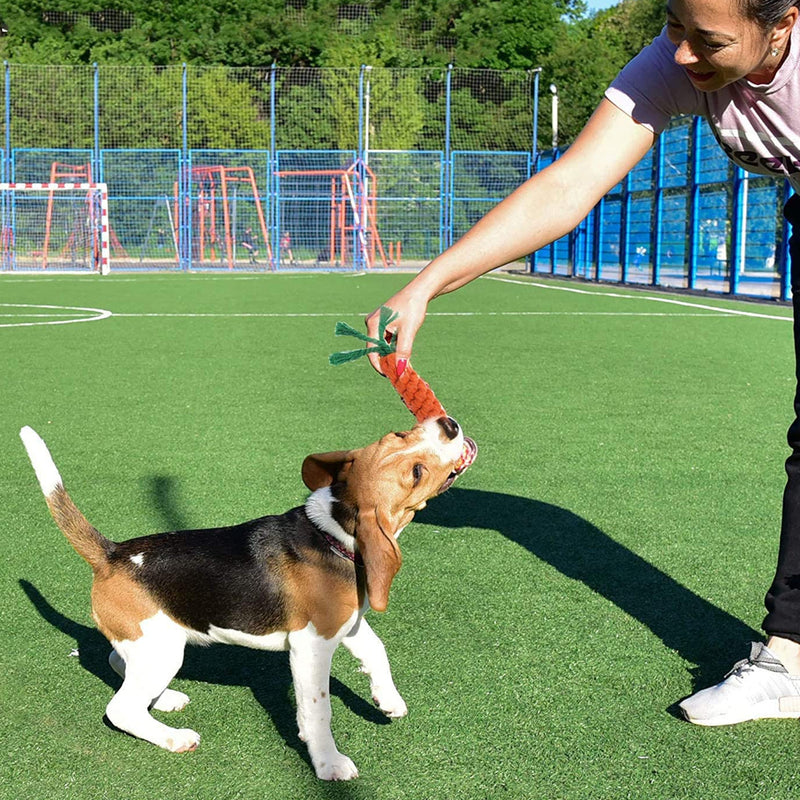 10PCS Pets Durable Cotton Rope Pull Teeth Clean Chew Toy Set_10