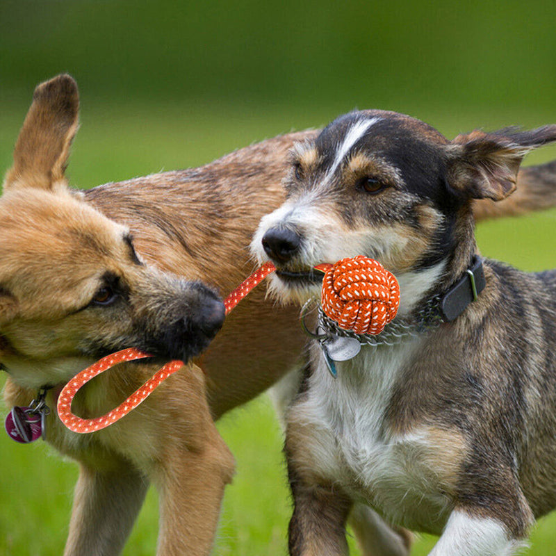 10PCS Pets Durable Cotton Rope Pull Teeth Clean Chew Toy Set_1