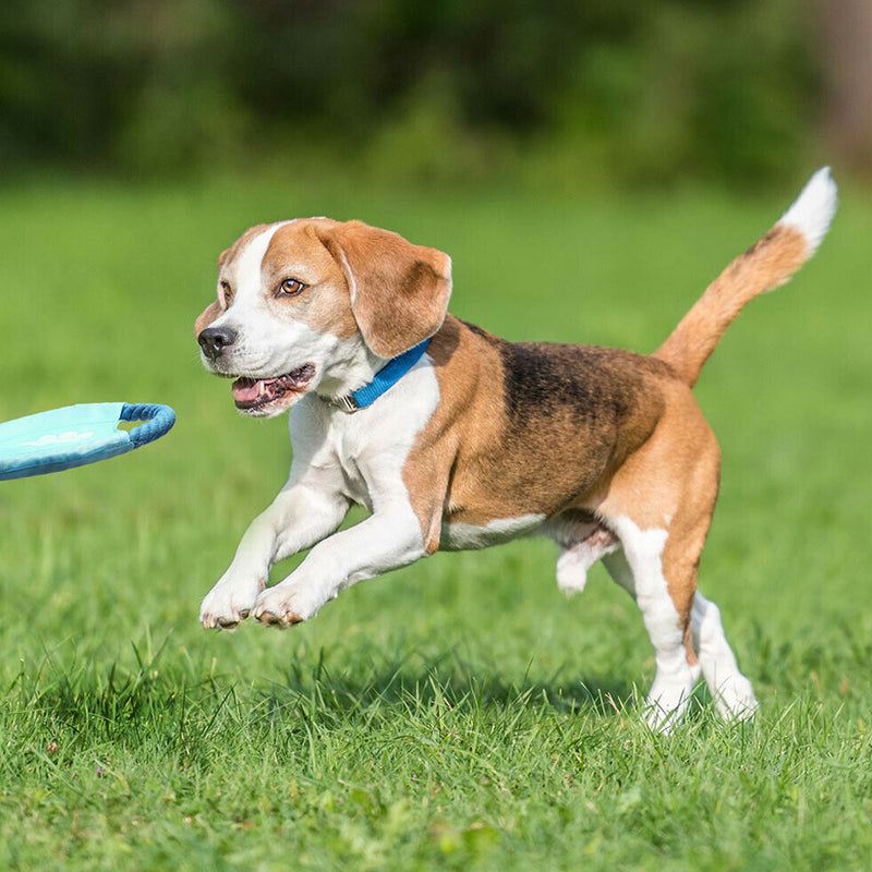 10PCS Pets Durable Cotton Rope Pull Teeth Clean Chew Toy Set_2