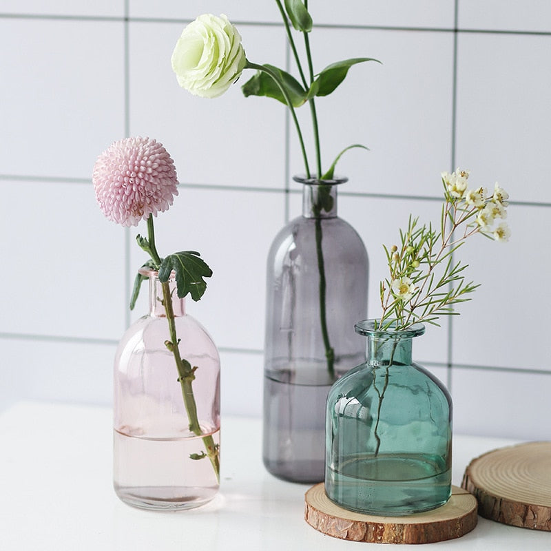 Vase Living Room Dried Flowers Nordic Ins Style Glass Transparent Dill Home Decoration Accessories Flower Vases For Homes