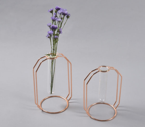 Rose-Gold Metal & Glass Test Tube Planter Vases (set of 2)