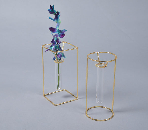 Minimal Metal & Glass Test tube Planter Vases (set of 2)