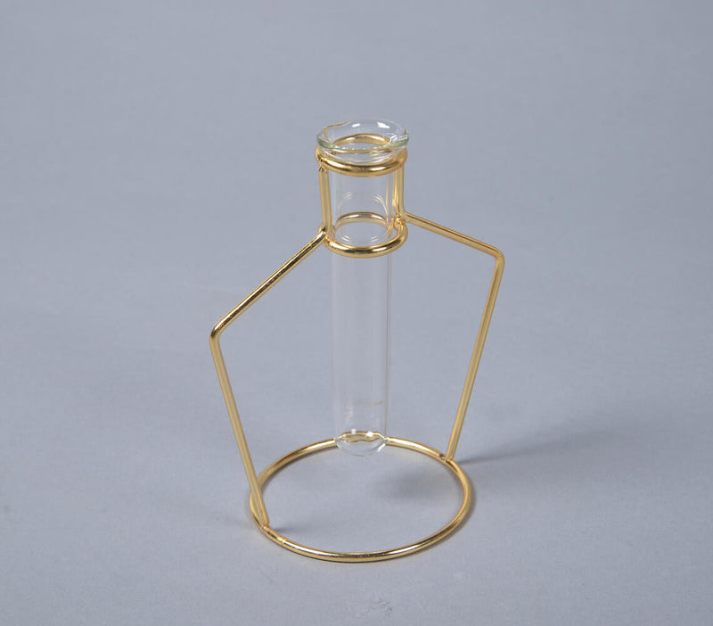 Bottle-Shaped Metal & Glass test tube Planter Vases (set of 2)