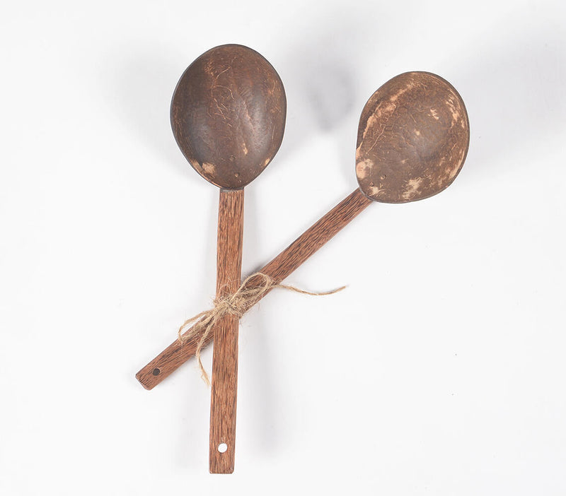 Eco-friendly Coconut Shell Curry Ladles (set of 2)